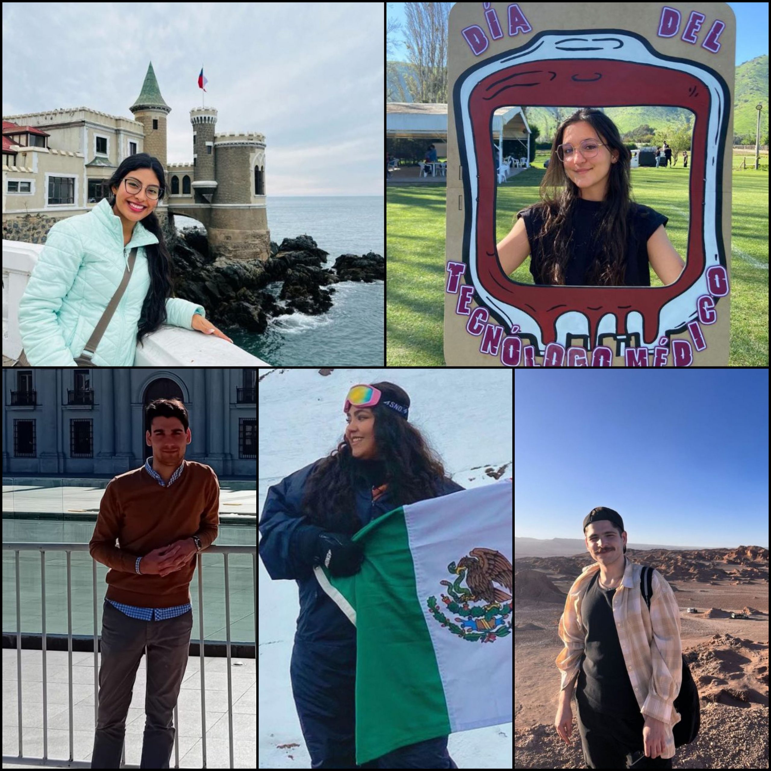 Estudiantes extranjeros destacaron a Chile como buena experiencia de intercambio