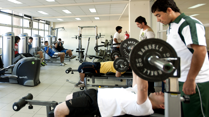 Área de Actividad Física y Deportes