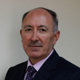 Nelson del Pino Sady