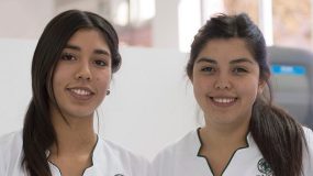 Etapas del Proceso